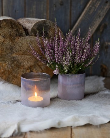 Lysglass Rosa/Lilla